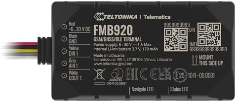 Teltonika FMB920