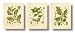 Ink Inc. Botanical Prints Vintage Wall Art Magical Herbalism Witchcraft Herbs - Set of 3 - Belladonna Deadly Nightshade, Henbane, Jimson Weed Datura - 8x10 Matte Unframed