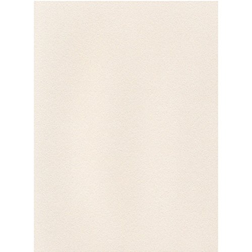 エスケント 色画用紙 ケント紙 スターライト A4 オパール 100枚 5794007