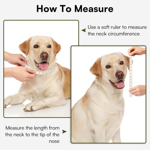 Image of Queenmore XL Dog Cone, Comfy Cone for Dogs to Stop Licking After Surgery | Reversible Elizabethan Collar for Dogs with 3-Panel Foldable Design, Breathable Pet Cones for Wound Healing, Dark Green,XL