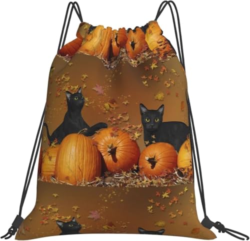 [ESASAV] LƃJ{` В X|[cW TbNK r[` j VbsO s e @\ jp