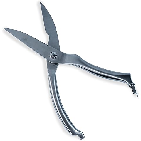 Kitchen Shears - The heavy duty kind! Cover