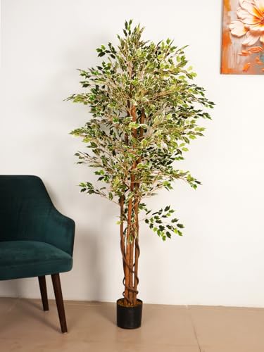 Image of ARICK DECOR 5.2Ft Artificial Variegated Ficus Tree - 160cm Tall Faux Lush White & Green Fig Tree with Braided Trunk in Pot - Realistic Floor Plant for Home, Office & Living Room