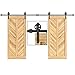 EaseLife 12 FT Double Door Heavy Duty Big Wheel Sliding Barn Door Hardware Track Kit,Ultra Hard Sturdy,Slide Smoothly Quietly,Easy Install,Fit Double 36" Wide Door (12FT Track Double Door Kit)