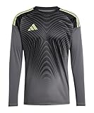 adidas Performance Tiro 25 Competition Torwarttrikot grau, S Herren