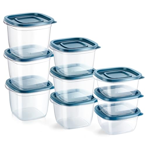 EFISH Juego de 9 Cajas Cubo Rectangulares de Plástico con Tapas,Cajas de almacenamiento de alimentos,conjuntos de contenedores de alimentos,contenedores.Para la escuela, (9PCS - 300/480/650ml)