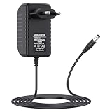 Adattatore CA 12 V 2 A 24 W universale per Altoparlanti, Strisce LED, Router, Telecamere CCTV e Elettronici, Alimentazione 12 V 2 A Trasformatore AC DC di Alta Qualità Cavo (1)