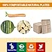 WELLIFE 125 Pack Kids Small 5-Compartment Paper Plates, 10.25x8.25 Inch 100% Compostable Divided Plates, Disposable School Lunch Trays, Eco-Friendly Bagasse Plate for Boys Girls and Youth (BPA Free)