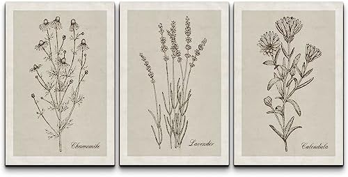 NWT Canvas Print Wall Art Set Retro Vintage Antique Garden Wildflowers Nature Wilderness Illustrations Modern Art Decorative Minimalist Floral Botanical Flowers for Bedroom - 24"x36" x 3