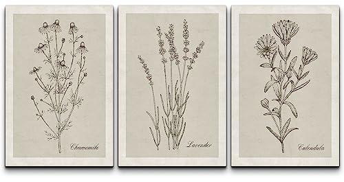 NWT Canvas Print Wall Art Set Retro Vintage Antique Garden