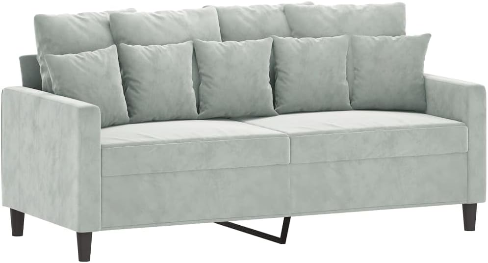 2-Seater Sofa Light Grey Velvet (100% Polyester) Living Room Furniture
