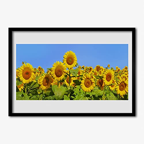 Cadre en MDF avec affiche photo de tournesol Tulup 70x50 cm style haut de gamme