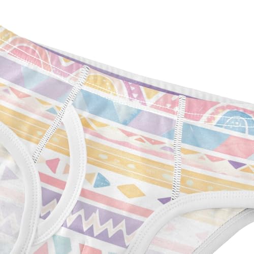 Traditional Tribal Aztec Toddler Boys' Soft Kids Underwear Cute Undies4