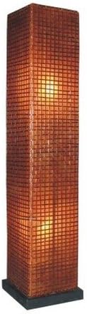 Hillsboro-631B Hillsboro Tribal Moroccan Transitional Indoor Floor Lamp, Brown