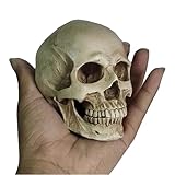 SdaryWare