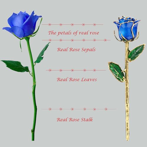 Image of 24K Gold Rose, Dipped Rose is Attractive Luster and Natural Shape, Best Gifts for Anniversary Wedding Valentines Day (Blue Original Rose with Stand)