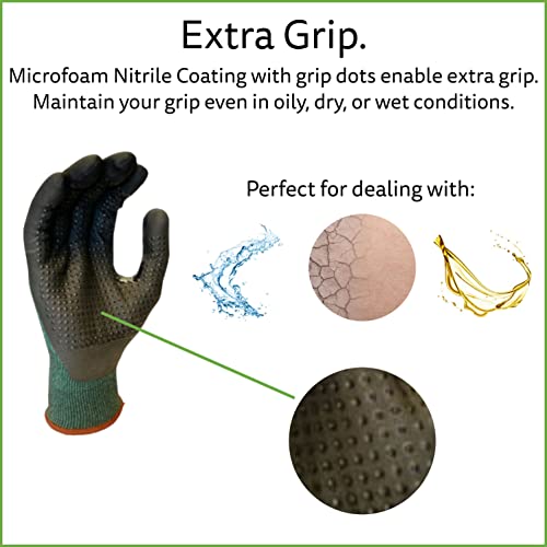 Cordova 6937 Cut Resistant Gloves, 18-Gauge Flexibility, Graphene, Reinforced Thumb, Touchscreen Fingers, Microfoam Nitrile Coating With Nitrile Dots For Extra Grip, Small, 1-Pack #TOP4