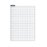 Pencil Board Bookmark Ruler Shitajiki for Traveler's Notebook A6 Size, White, Sold by Chris.W (4.13 x 5.83 Inch)