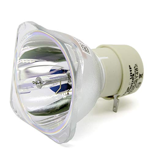 Rich Lighting プロジェクター 交換用 ランプ タイプ16, 512771 RICOH RICOH PJ HD5451 ...