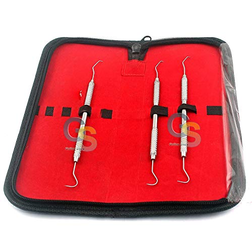 G.S PROFESSIONAL STAINLESS STEEL DENTAL TOOL DENTIST TEETH CLEAN HYGIENE EXPLORER PROBE HOOK PICK TEETH CARE BEST QUALITY