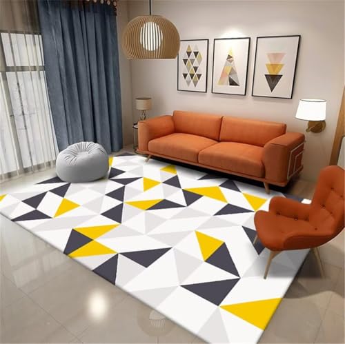 Tapis de salon pas cher 200x250cm pour masquer les sols usés