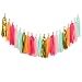 Ling's moment 20 PCS Tassel Garland Tissue Paper Tassel Banner for Wedding, Bachelorette, Baby Shower, Birthday, Fiesta Fringe Party Banner, Event & Party Decorations, DIY Kits (Gold,Mint,Red,Orange)