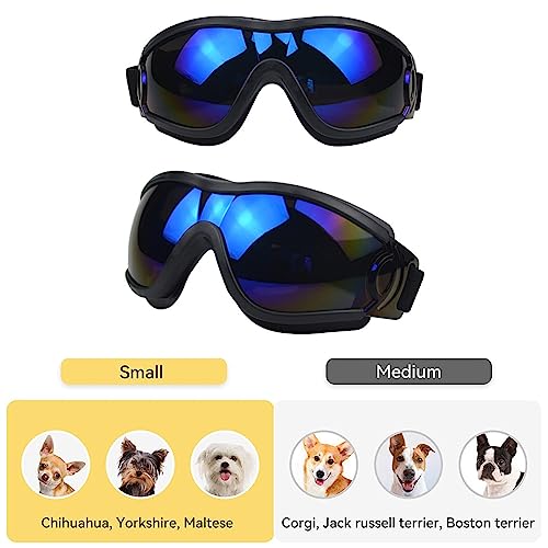 Hundesonnenbrille Queerelele mit UV-Schutz und wasserdichtem Design