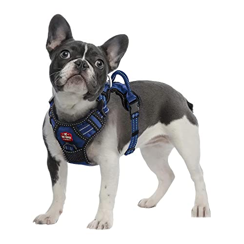 Tuff Pupper Anti Pull Heavy Duty Dog Harness, Easy Walk Front & Back Leash Clips, Strong Safety Handle, Reflective Vest, Comfortable Padded Training Harness, Small Medium Large Dogs (Small, Blue) #TOP1