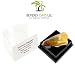 Tyrannosaurus Rex Jurassic Era Spinosaurus Tooth In Case