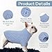 Hjumarayan Hundepullover Kleine Hunde - Schlicht & Elegant Hunde Pullover, Warm Hundepullover mit Geschirrloch, Schöner Hundepulli mit Beinen Hund Pullis für Chihuahua (Blau XS)
