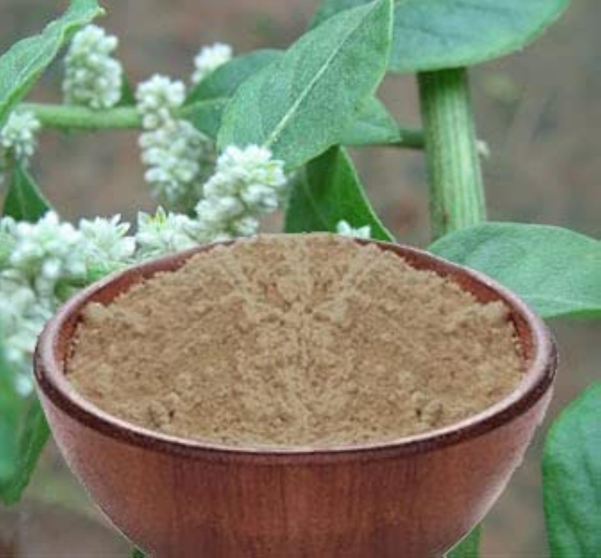Valuelife Mountain Knot Grass Powder, 990g