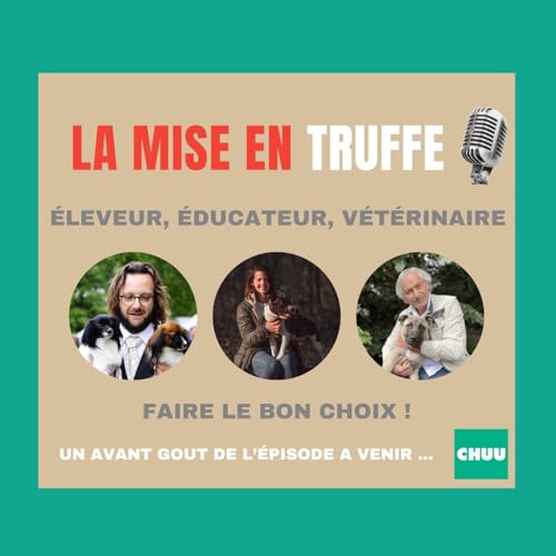 [MISE EN TRUFFE] Comment choisir les meilleurs professionnels pour votre chien ?
