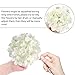 Auihiay 64 PCS Artificial Hydrangea Flowers, Silk Hydrangea Full Flowers Heads with Stems for Wedding Centerpieces, Home, Garden, Baby Shower, Party Decoration (Ivory)