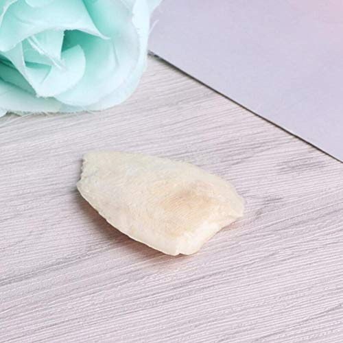 Zonster 1 Bag Cuttlebone Tintenfisch Sepia Knochen Tuppoly Fish Bird Food Calcium Pickstone Papagei Vögel Zähne Schleiftraining