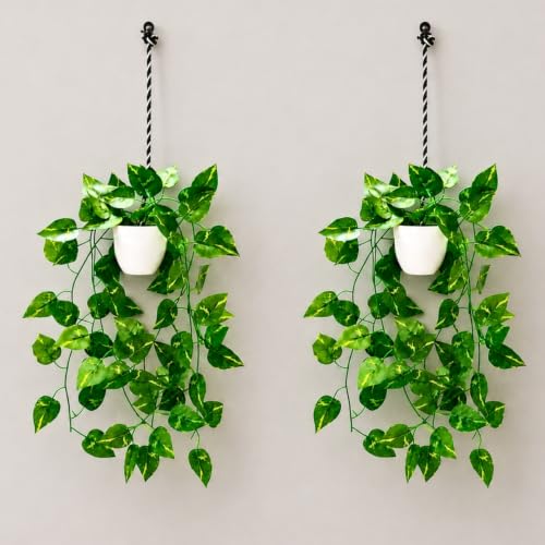 Image of fancymart Artificial Hanging Ivy Plant with White Hanging Pot & Rope, Pack of 2, Realistic Green Leaf Creeper for Home, Office, Living Room & Wall Decor, 60 cm Height