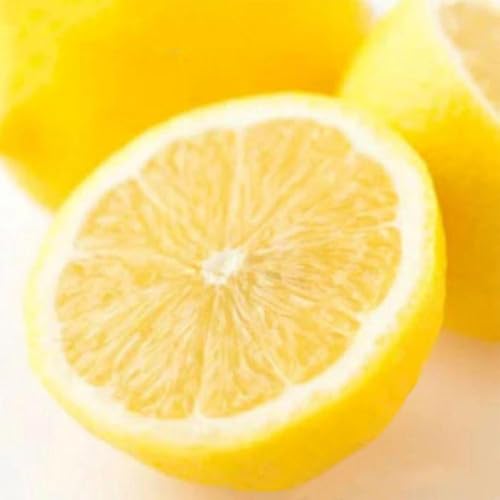 [先行予約]和歌山産レモン約3kg(サイズ混合)[TM150]