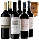 Pack Vinos Ribera del Duero - Envio 24h - Vinos Regalo - 2 x P. Carraovejas, 2 x C. Rodero 9m, 2 x P. Capellanes 5m -Cosecha Privada (6 x Botella 75 cl, 1.03) - Pack 6 Bot - 1.03-3 C