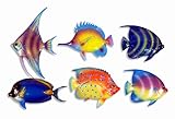 Handpainted C-A Gliter Cartoon Tropical Fish Wall Mount Decor Plaque 6