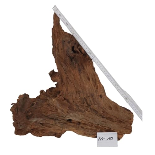 Aquariumwurzel Deko für Aquarium Mangrovenwurzel Moorwurzel Aquariendeko Einzelstücke wählen Sie Ihre Traumwurzel 100% Naturprodukte (Nr. 10 45x40x30)