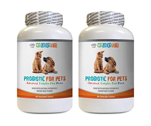 dog digestive enzyme supplements - PET PROBIOTIC - DOGS AND CATS - DIGESTIVE BOOST - GET RID OF BAD BREATH AND STOP DIARRHEA - lactobacillus acidophilus dogs - 2 Bottles (120 Treats)