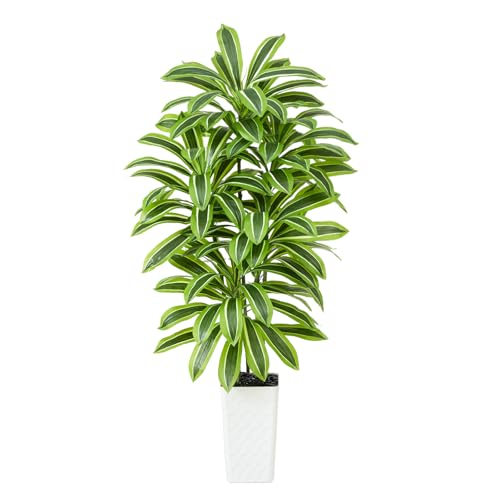 Image of Artificial Yellow Dracaena Tree Indoor, 5FT Tall Fake Floor Plants with White Planter & Pebbles, Faux Silk Yucca Tree for Home Office Living Room Bedroom Farmhouse Modern Outdoor Topiary Tree