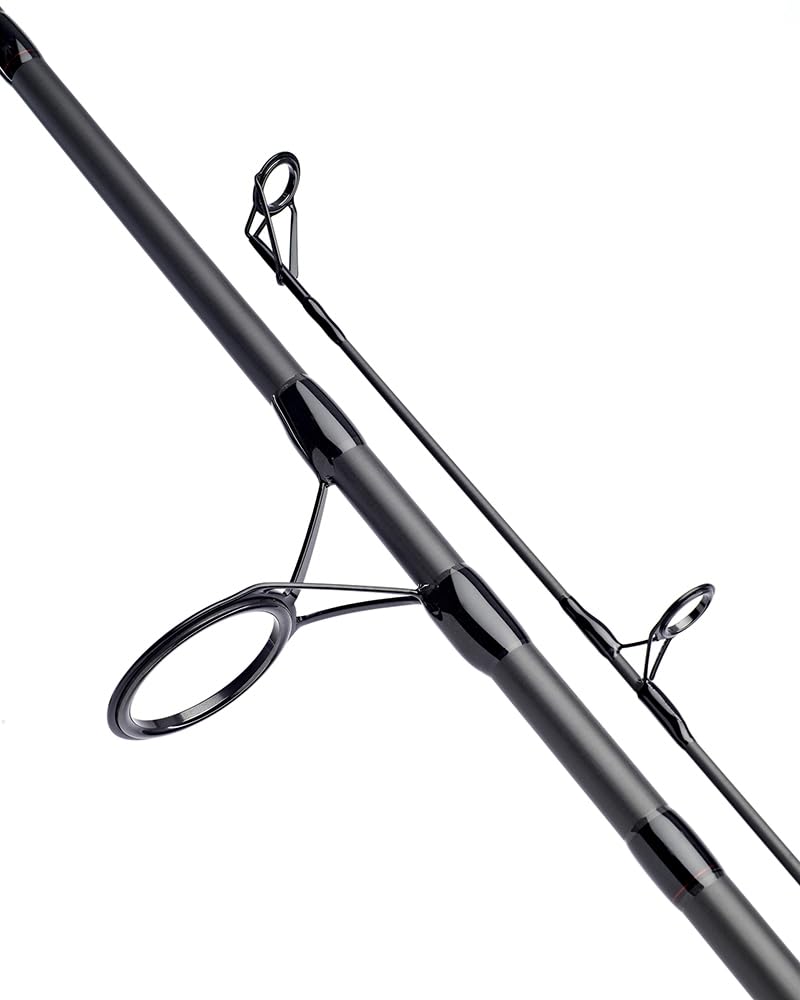 DAIWA Caña de pescar Black Widow XT Carp