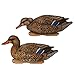 Avery GHG Pro-Grade XD Series Mallard Harvester Pack Decoys | Realistic Durable Floating Duck Hunting Decoy Set | Anatomical Poses, Supple Bodies, Life-Like Details, 60/40 Swim Keel, 6-Pack (76118)