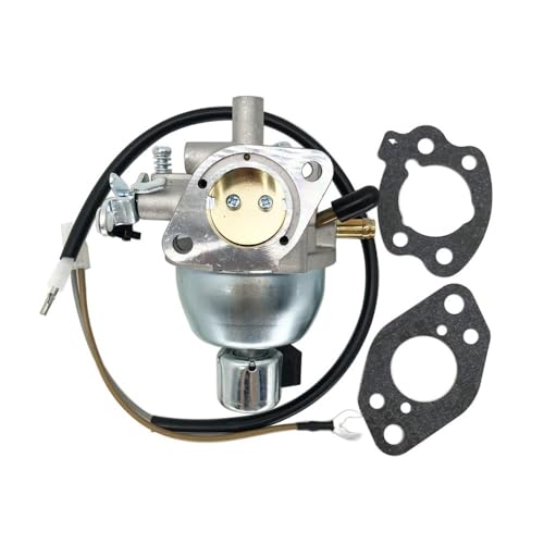 Carburateur 847395 compatible Briggs 846280 808725 pièce moteur 305772