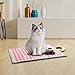 Bothyi Pet Cooling Mat Cushion Blanket Bed Comfortable Summer Mattress Cat Dog Sleeping Pad for Seat Car Kennels Floor Outside Shops, Pink XL