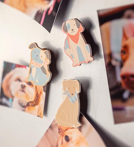 Karma, Magnetic Shaped Potato Chip Bag Clips - Colorful and Fun Bag Clips for Food and Storage - One Size, Fruit by Karma - Image 2