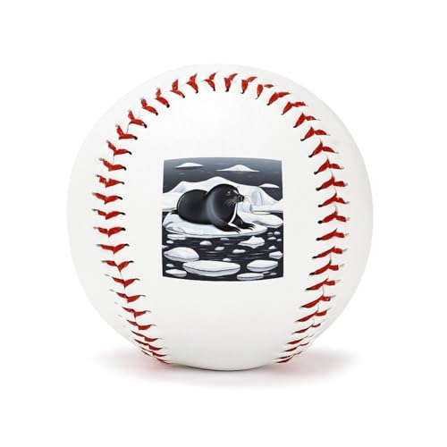 Balle de baseball étanche de 22,9 cm pour éviter les dommages liés à l'eau