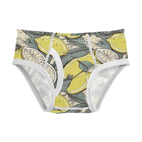 visesunny Boys Potty Training Underwear Vintage Lemon Leaf Breathe Cotton Briefs Size 2T-8Y for Toddler