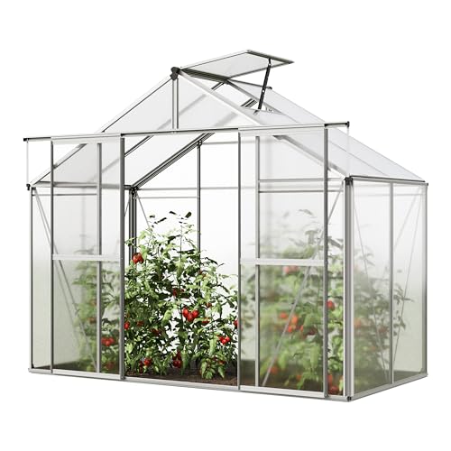 GFP Serre de Jardin Orchidee 2 Structure en Aluminium 256 x 131 cm Panneaux en Polycarbonate