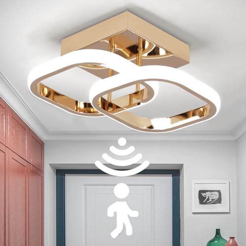 EIDEARAY LED Motion Sensor Ceiling Light Indoor, 22W Cold White 6000K Ceiling Lights, Square Design Sensor Light,24 * 20 * 9CM，Suitable for Garages, Hallway, Aisle, Porch, Corridor，Entrance (Gold)